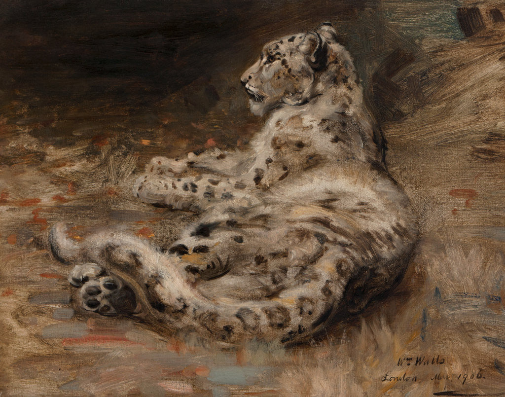 Detail of A Leopard 1906 by William Walls