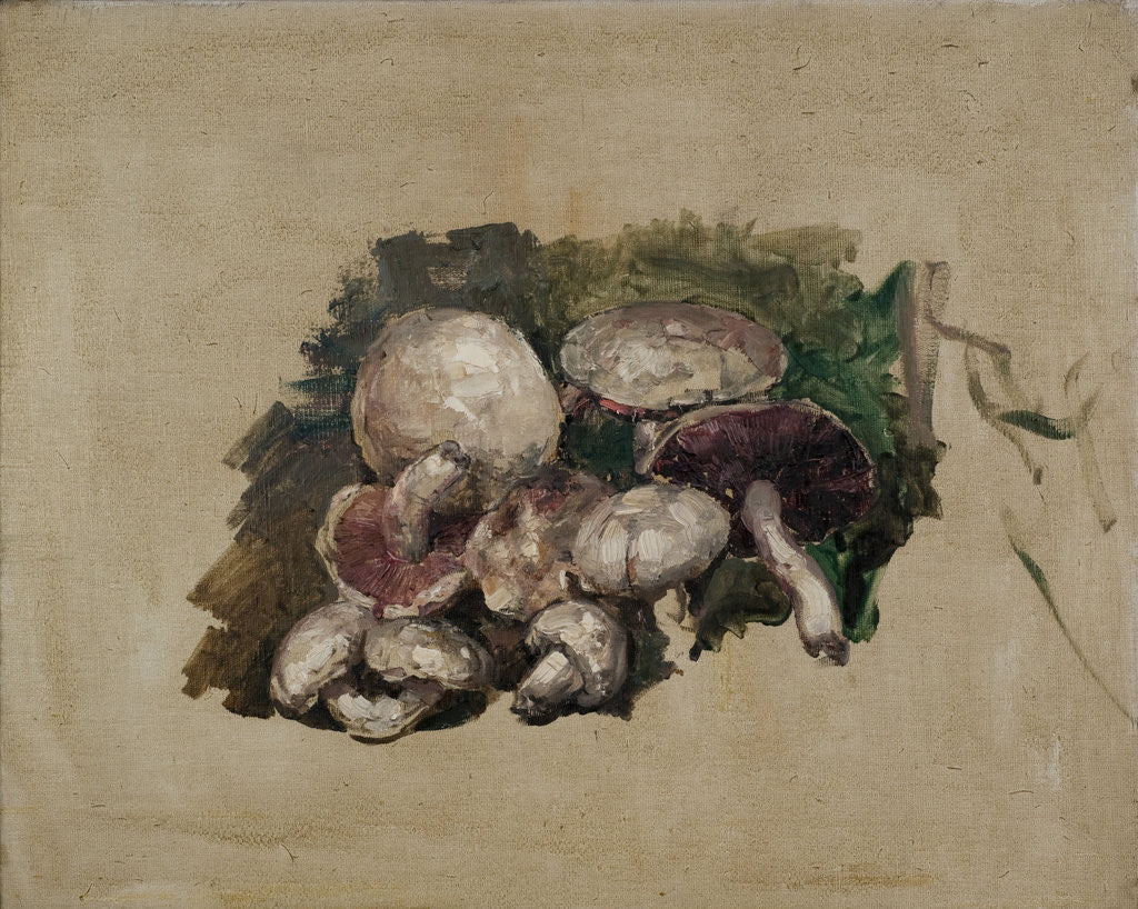 Detail of Still Life - Mushrooms, c.1899-1912 by Edward Atkinson Hornel