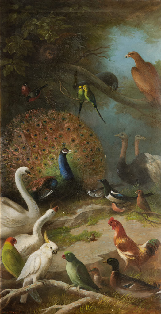 Detail of The Parliament of Birds by John Bucknell Russell
