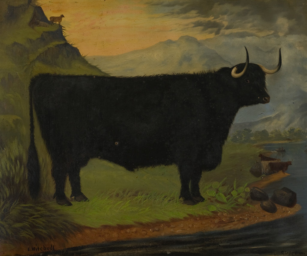 Detail of A Black Highland Bull in a Highland Landscape 1880 by E. Mitchell