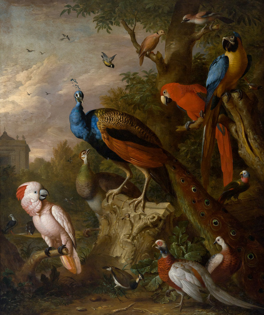 Detail of Peacocks and other exotic birds by Jacob Bogdany