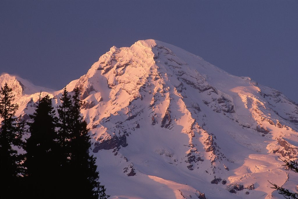 Detail of Sunset on Mount Rainier by Anonymous