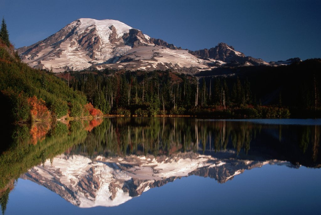 Detail of Mount Rainier Reflected in Bench Lake by Anonymous