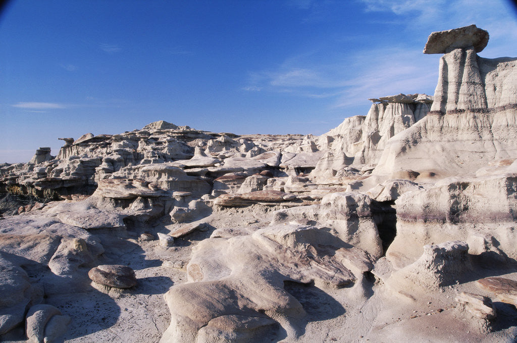 Detail of Desolate Canyon of Bisti Wilderness Area by Anonymous