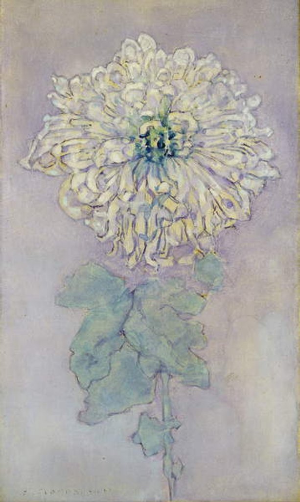 Detail of Chrysanthemum by Piet Mondrian