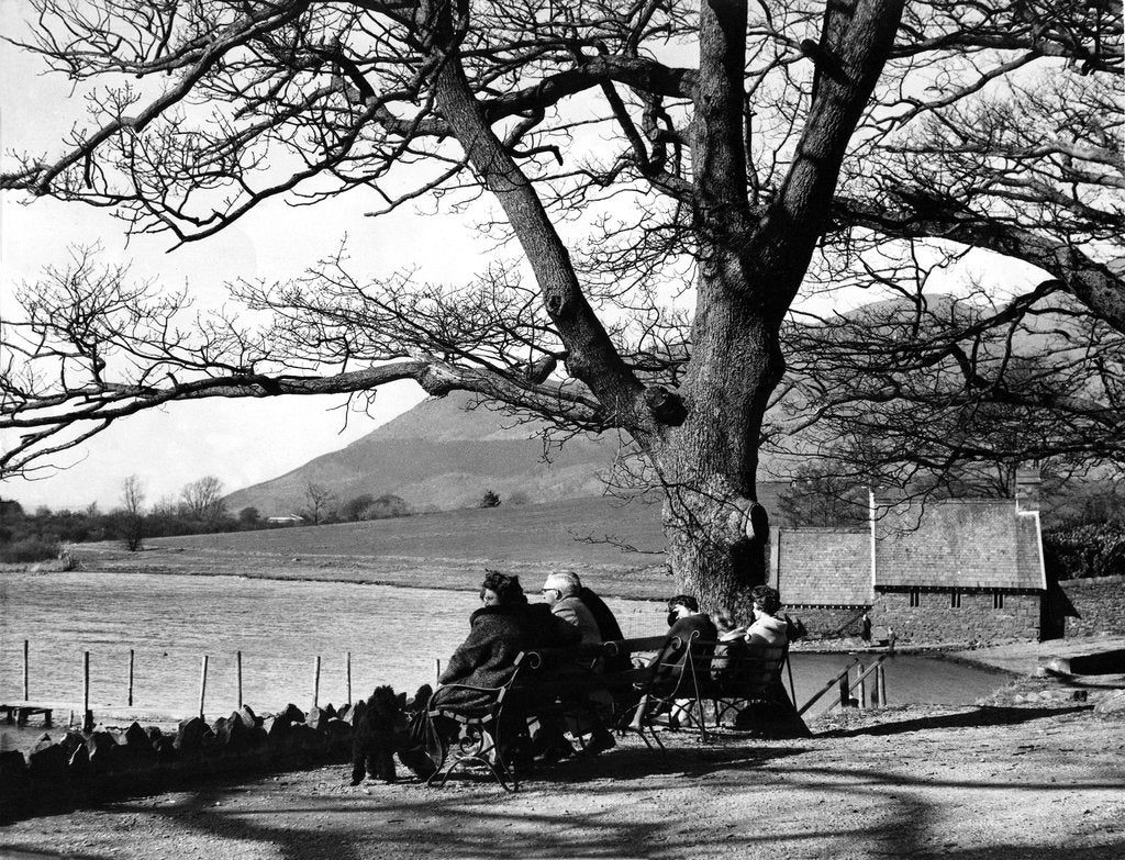 Detail of Derwentwater by NCJ