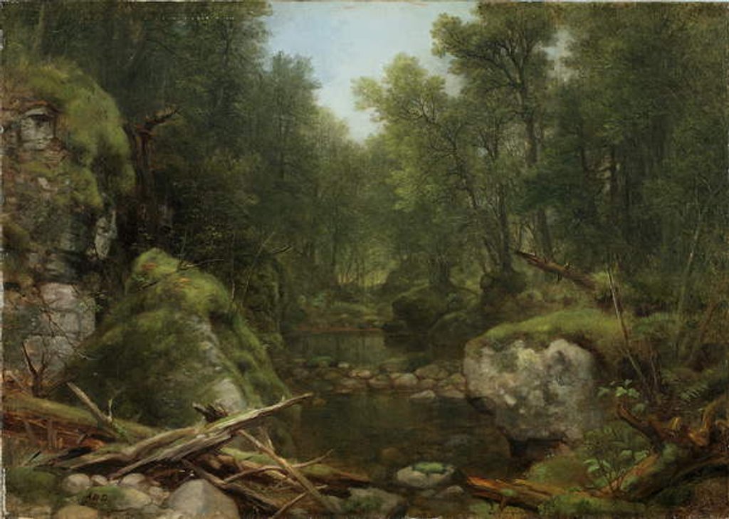 Detail of Chapel Pond Brook, Keene Flats, Adirondack Mountains, N.Y., 1870 by Asher Brown Durand