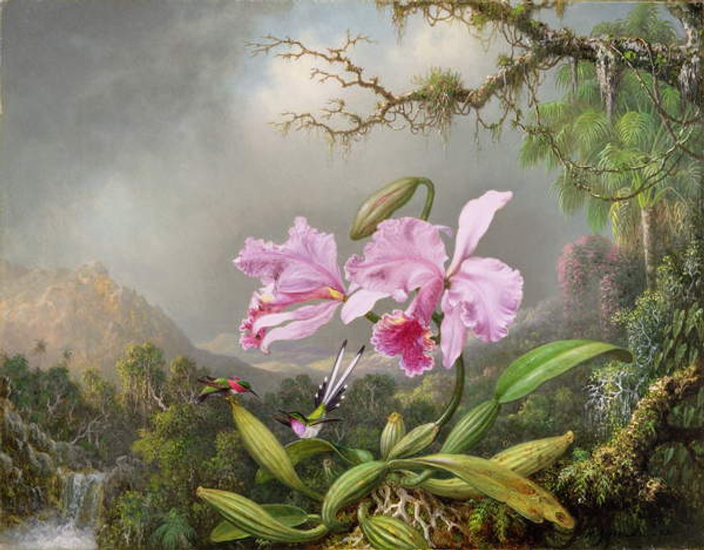 Detail of Study of an Orchid, 1872 by Martin Johnson Heade