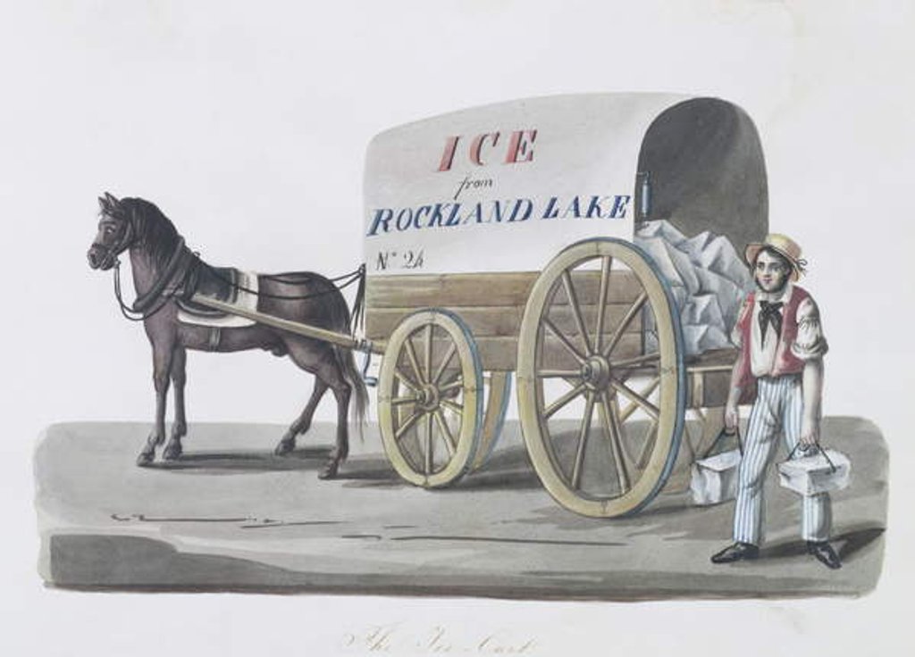 Detail of The Ice Cart, 1840-48 by Nicolino Calyo