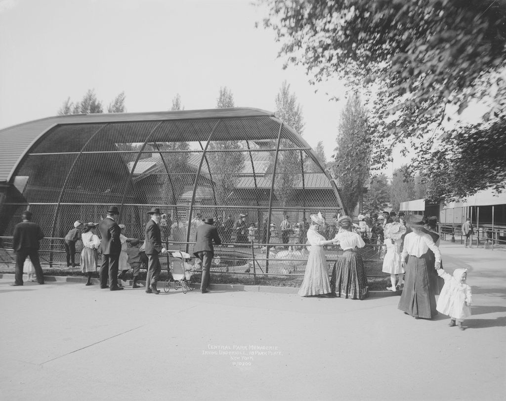 Detail of Tourists Visiting Central Park Menagerie by Anonymous