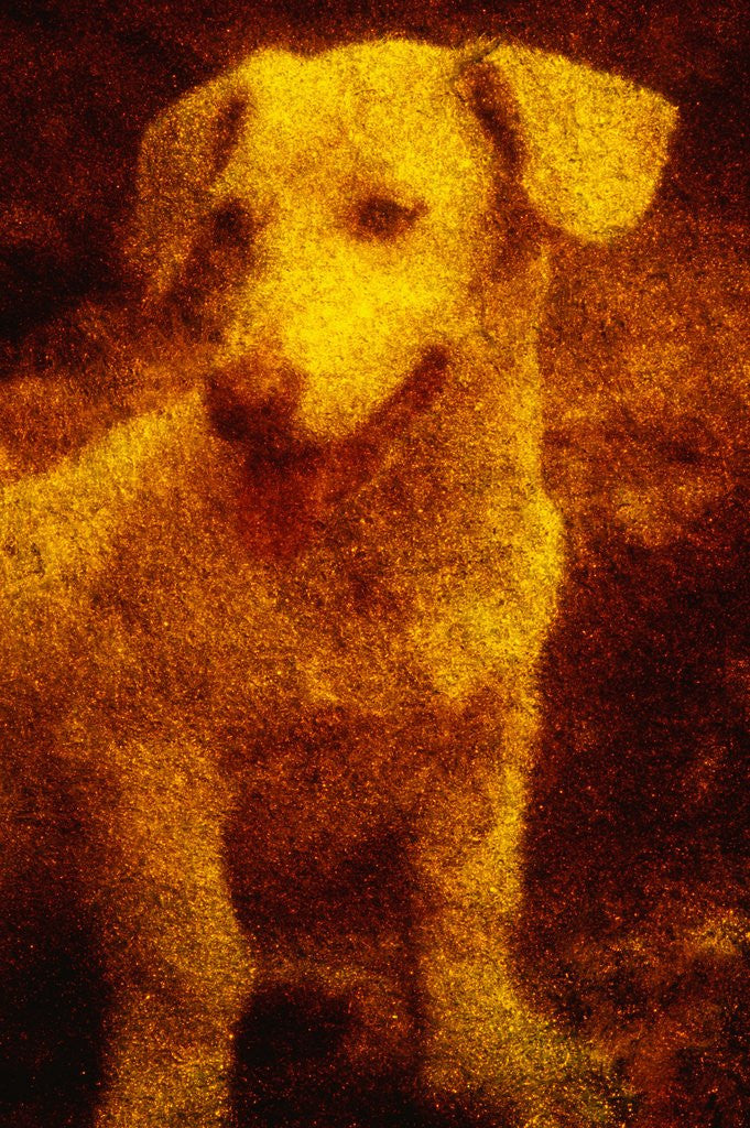 Detail of Dog by Andre Burian