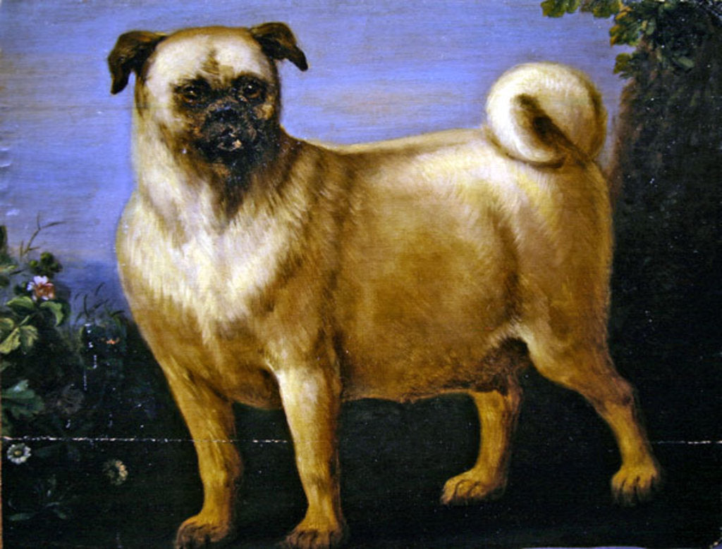 Detail of A Pug in a Landscape by John Wootton