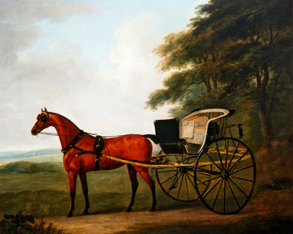 Detail of A Bay harnessed to a Tilbury by John Nost Sartorius