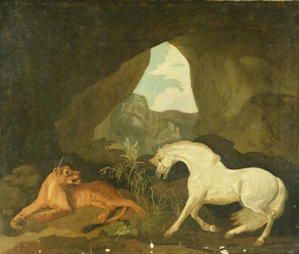 Detail of Lioness and white stallion, 1760 by George Stubbs