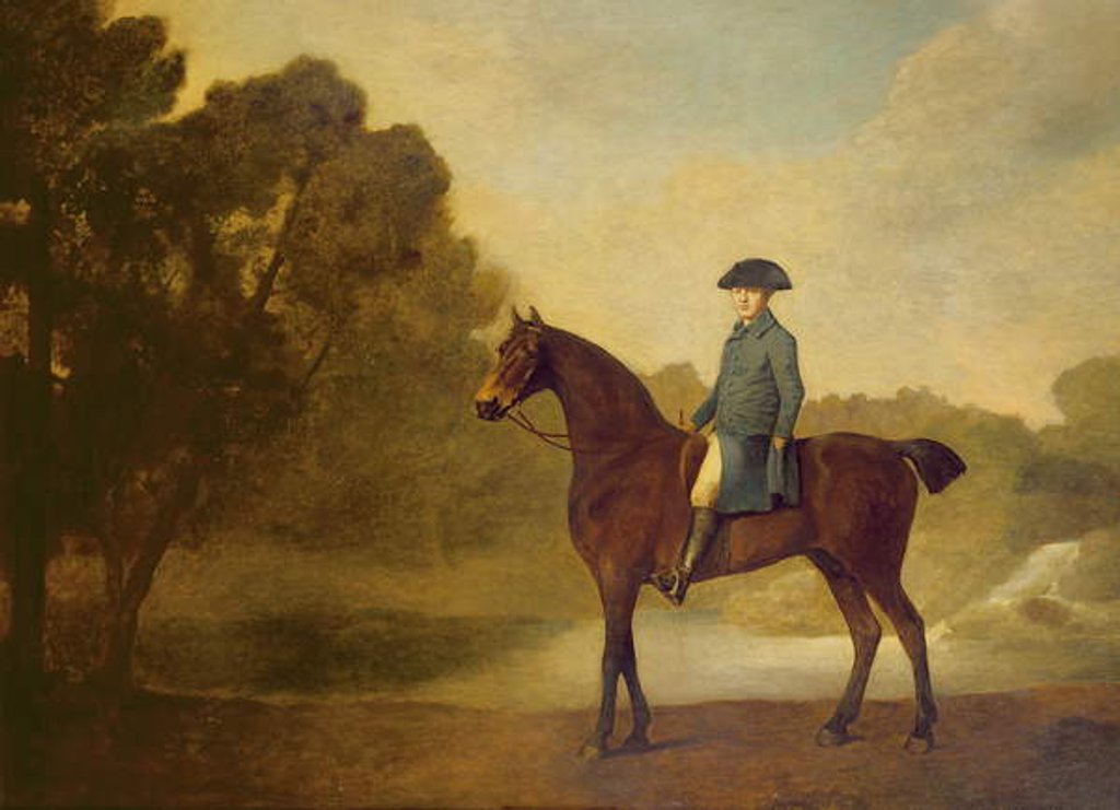 Detail of A gentleman on a bay hunter, 1771 by George Stubbs