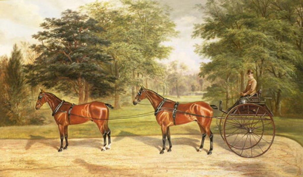 Detail of Two horses, harnessed in tandem, pulling a carriage, 1883 by Benjamin Cam Norton