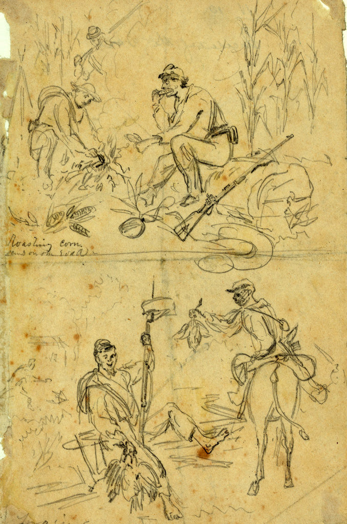 Detail of Scenes on the road, roasting corn and foraging by Alfred R Waud