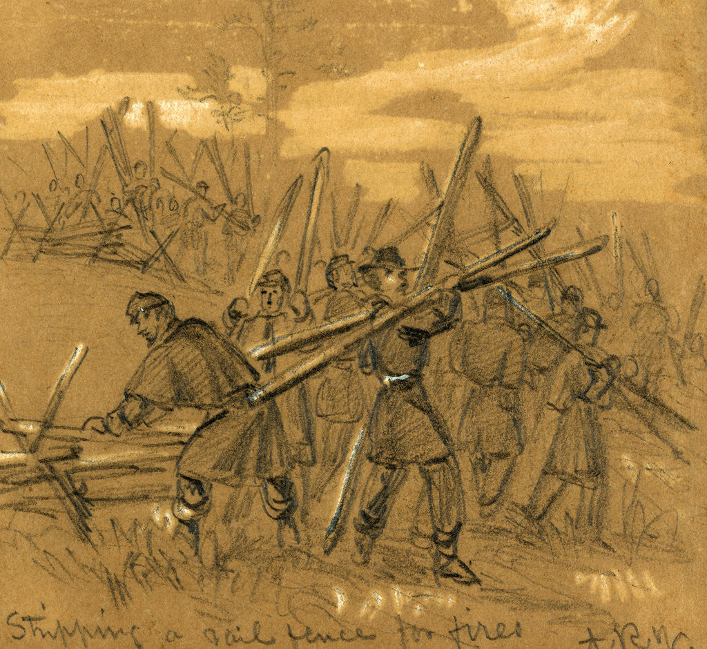 Detail of Stripping a rail fence for fires by Alfred R Waud