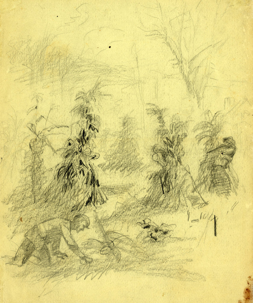 Detail of Sniper shooting soldier from behind a corn stack by Alfred R Waud