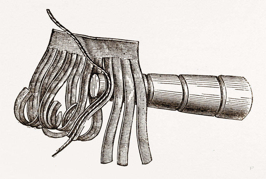 Detail of Detail Of Feather by Anonymous