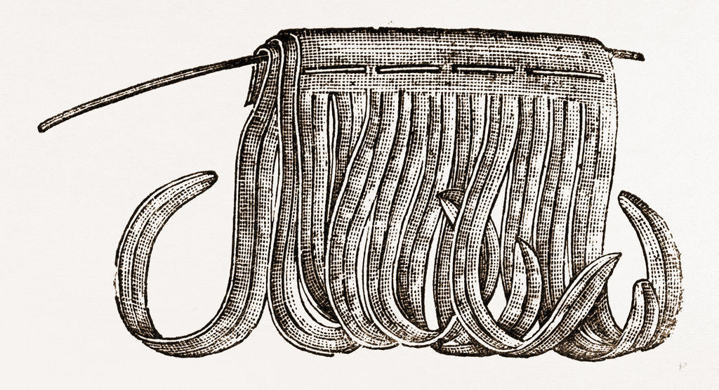 Detail of Detail Of Feather by Anonymous