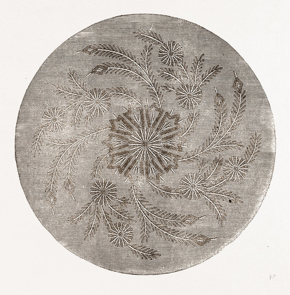 Detail of Crown Of Smoking Cap by Anonymous