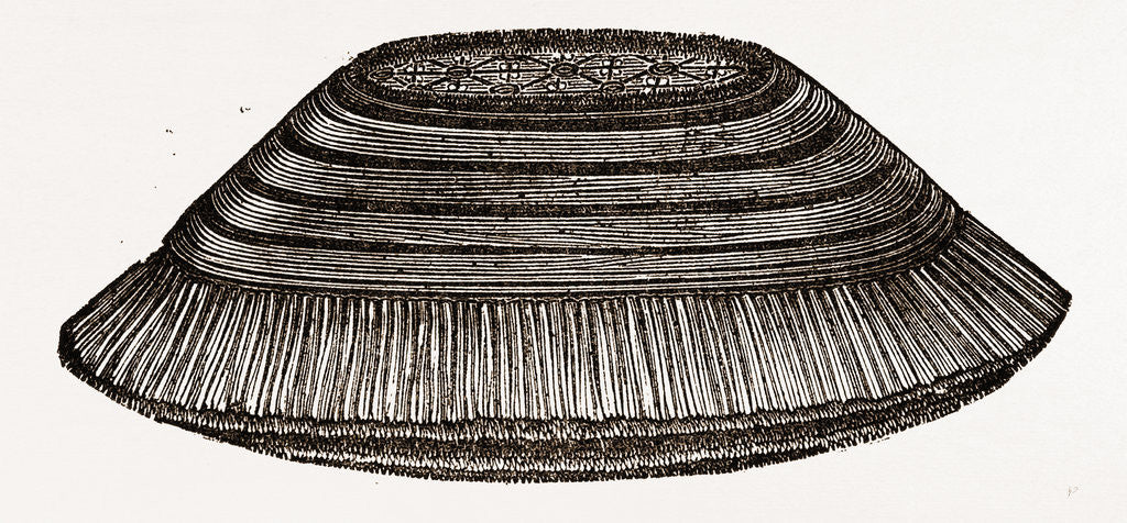 Detail of Furniture Brush by Anonymous