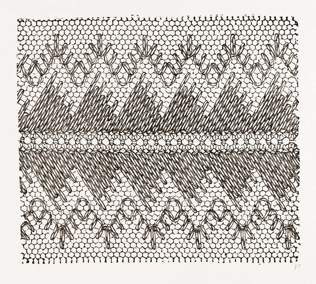 Detail of Design For Darning On Net by Anonymous