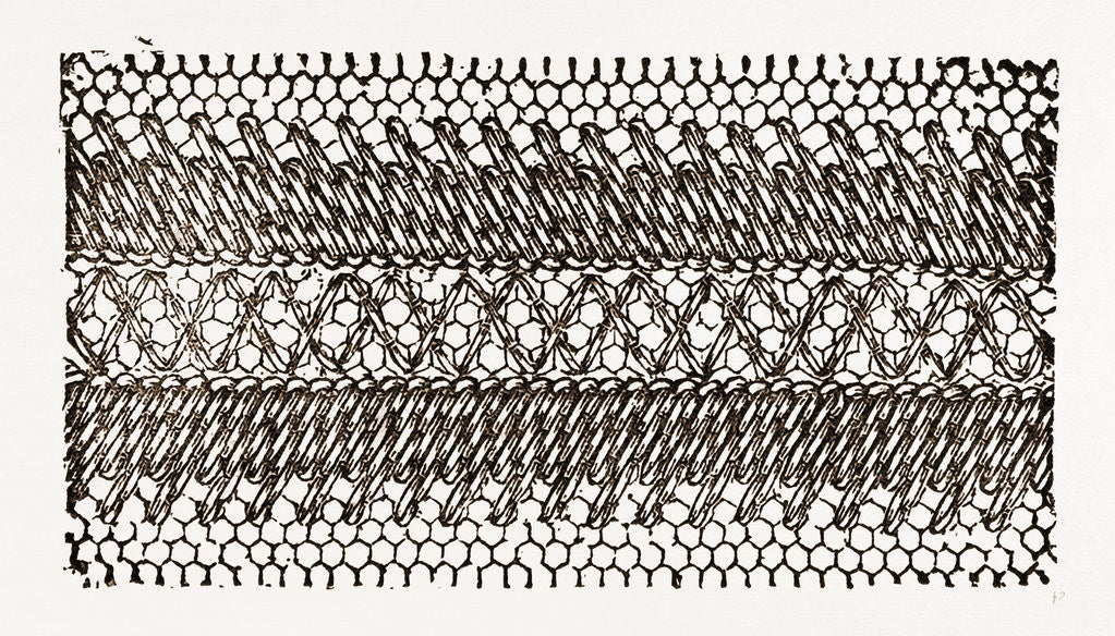 Detail of Design For Darning On Net by Anonymous
