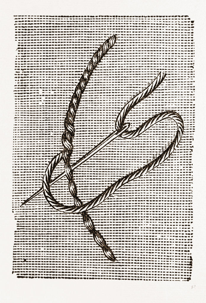 Detail of Needlework by Anonymous