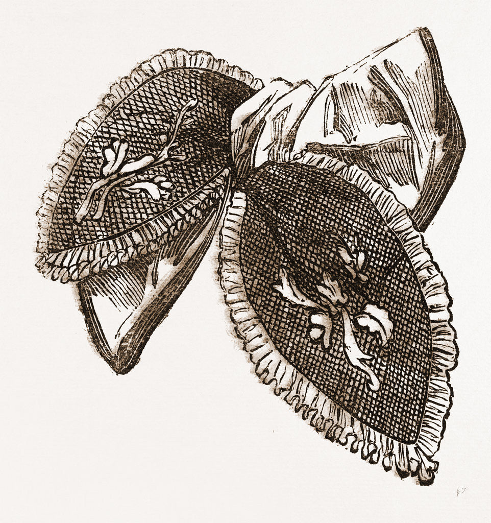 Detail of Needlework by Anonymous
