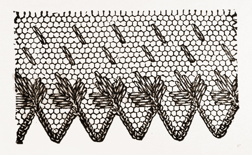 Detail of Design For Darning On Net by Anonymous