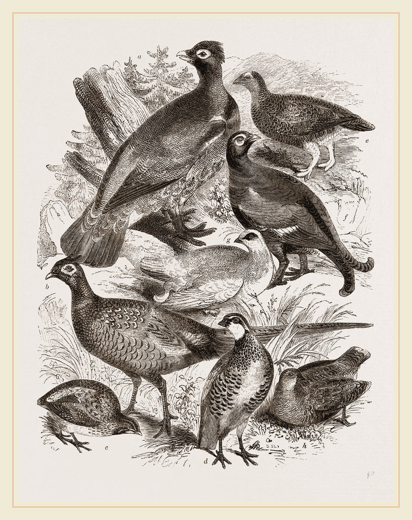 Detail of Group of Game by Anonymous