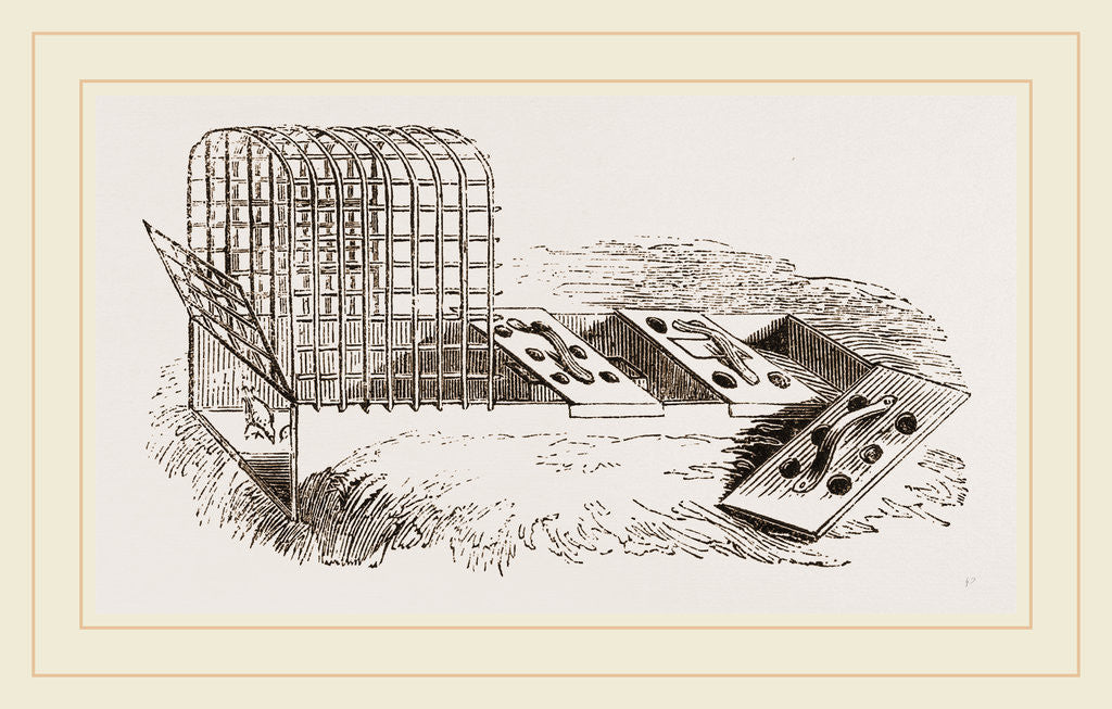 Detail of Improved Artificial Mother by Anonymous