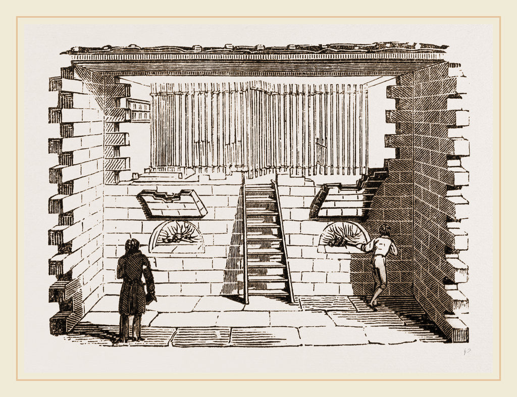 Detail of Hatching-room at Paris by Anonymous