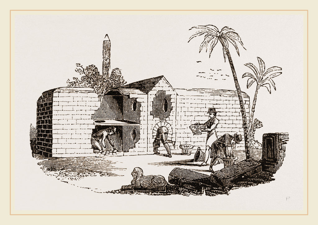 Detail of Egyptian Egg-Oven by Anonymous