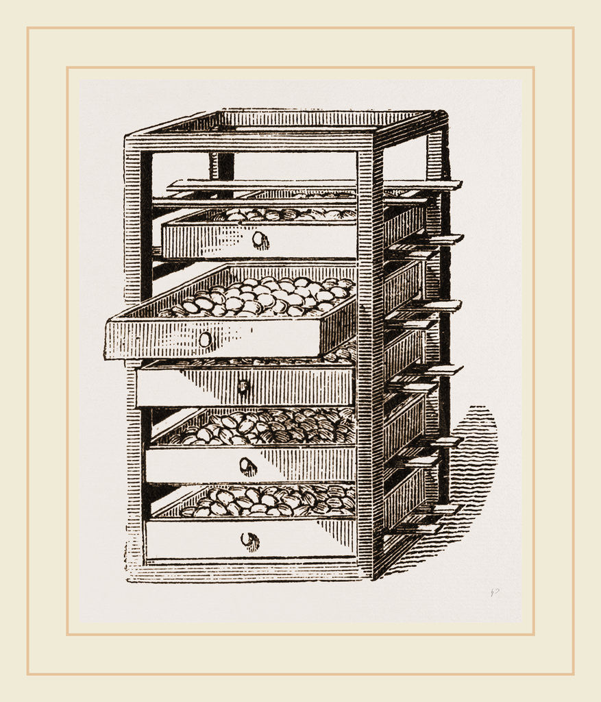 Detail of Egg-Frame by Anonymous