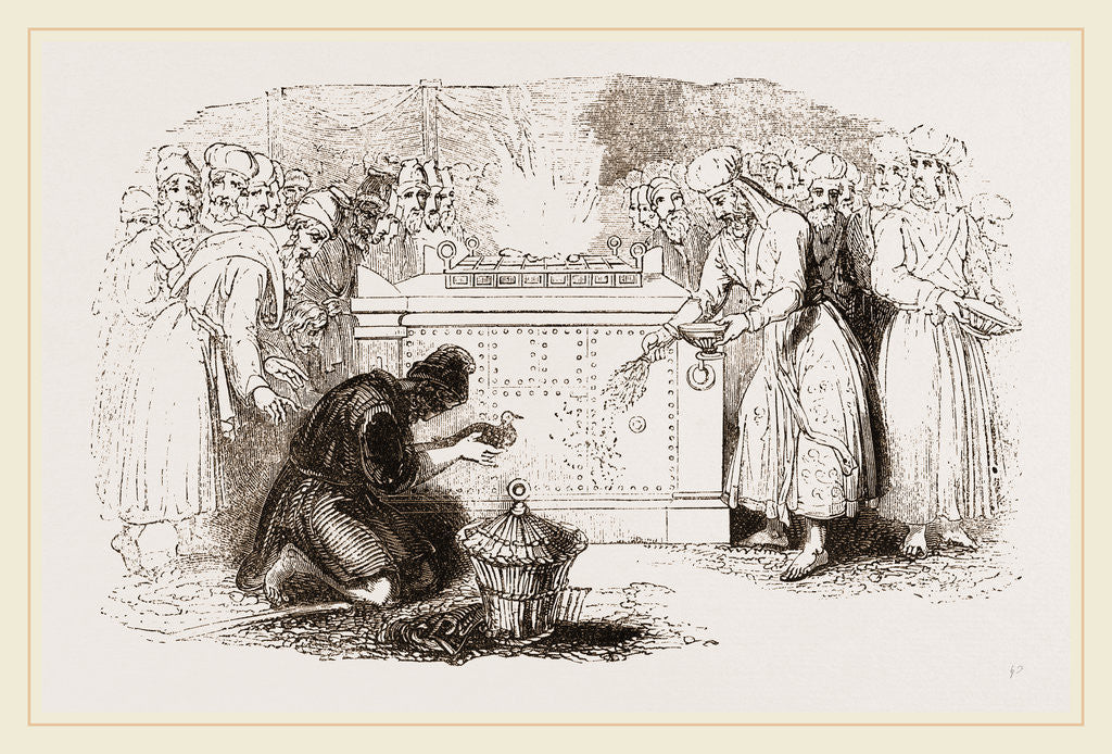 Detail of Offering of Pigeons required by the Jewish Law by Anonymous