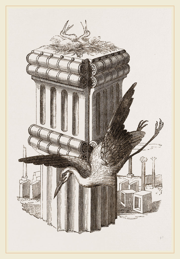 Detail of Stork's Nest at Persepolis, Iran by Anonymous