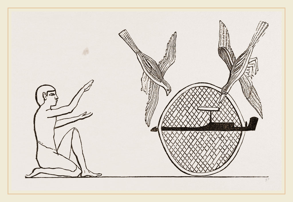 Detail of Clap-net of Ancient Egyptians for Bird-catching, Egypt by Anonymous