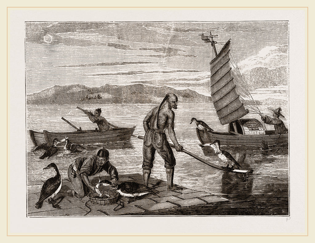 Detail of Chinese fishing with Cormorants, China by Anonymous