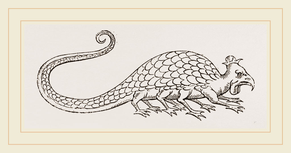 Detail of Basilisk from Aldrovandus by Anonymous