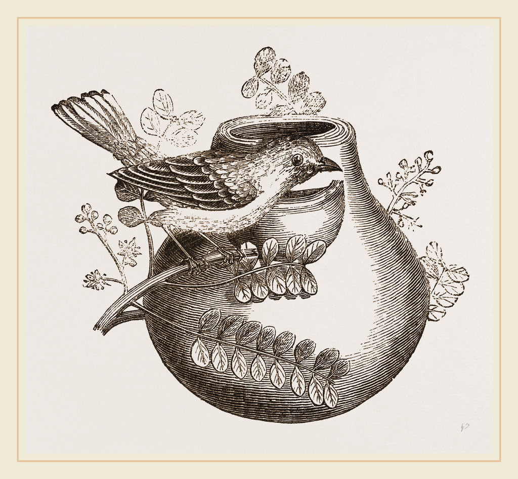 Detail of Nest of Pine-pine by Anonymous