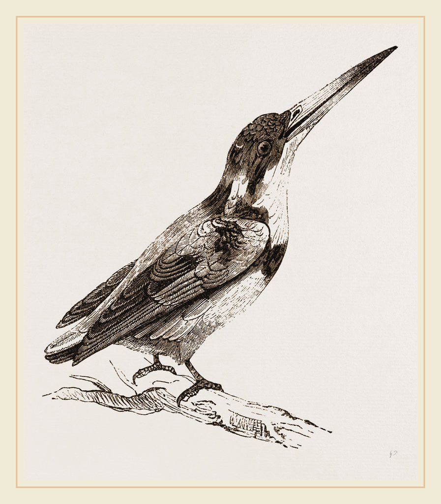 Detail of Burung biru by Anonymous