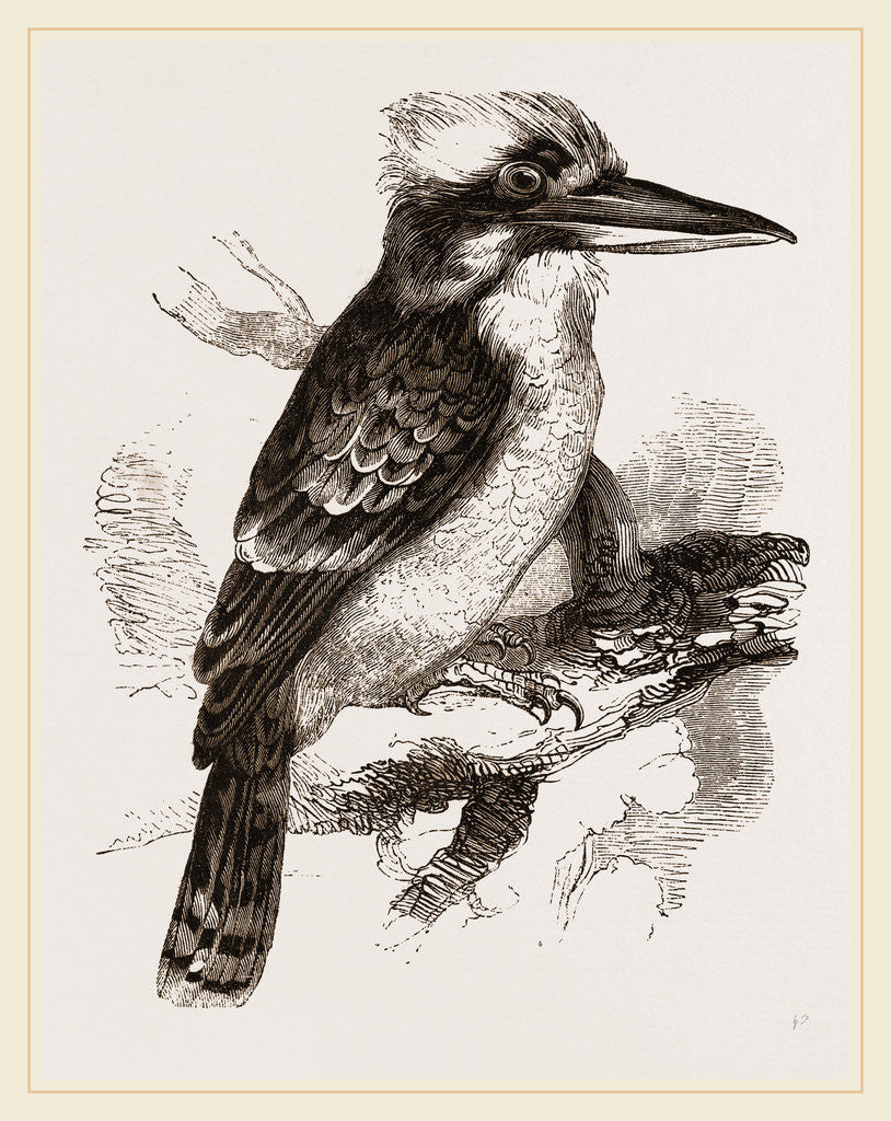 Detail of Gigantic Kingfisher by Anonymous