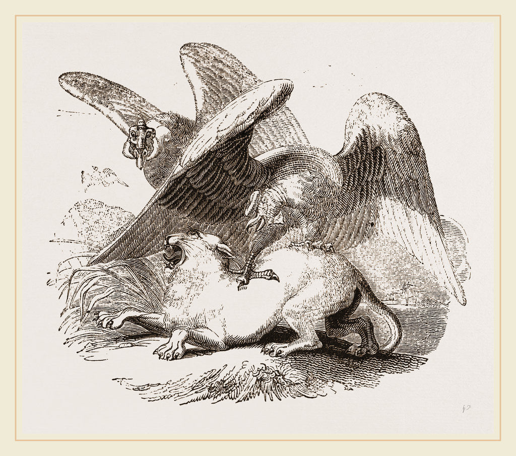 Detail of Condors by Anonymous