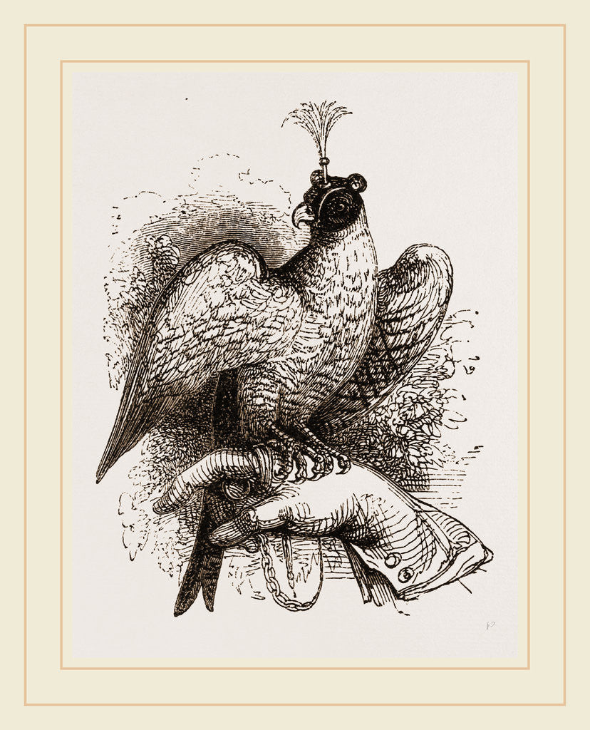 Detail of Hawk on Fist by Anonymous