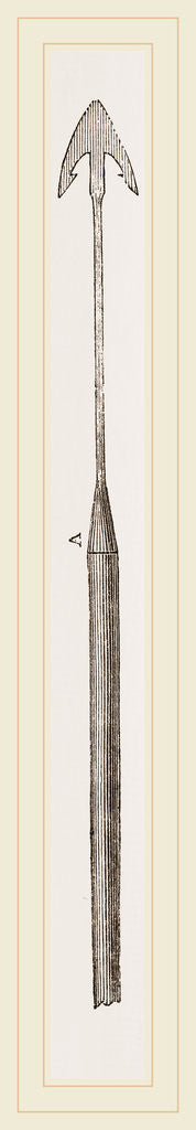Detail of Whaling Harpoon by Anonymous