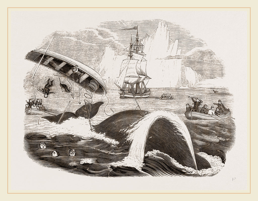 Detail of Dangers of the Whale Fishery by Anonymous