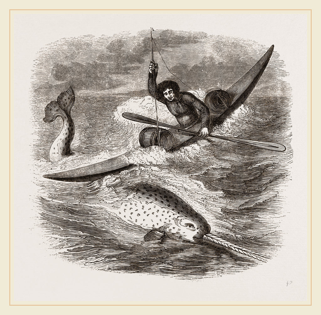 Detail of Spearing the Narwhal by Anonymous